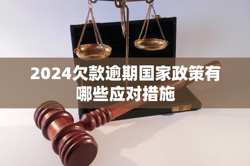 2024欠款逾期国家政策有哪些应对措施(图1)