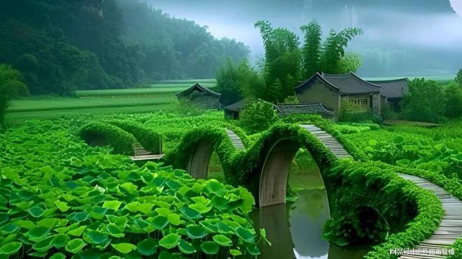 球速体育：媒体人走基层不应只唱赞歌(图7)