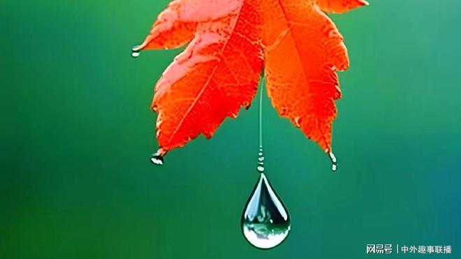 球速体育：媒体人走基层不应只唱赞歌(图8)