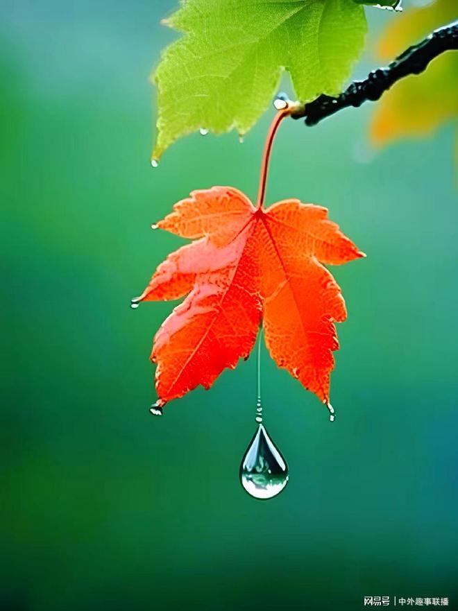 球速体育：媒体人走基层不应只唱赞歌(图9)