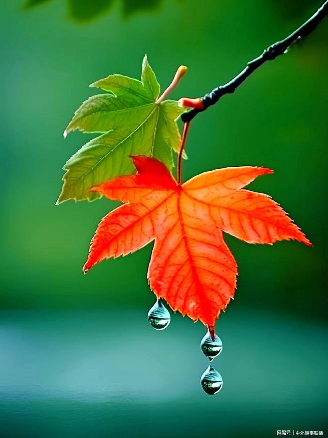 球速体育：媒体人走基层不应只唱赞歌(图11)