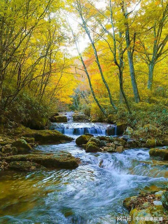 球速体育：媒体人走基层不应只唱赞歌(图12)