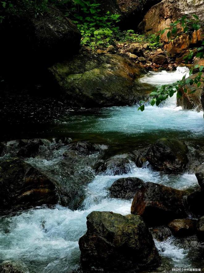 球速体育：媒体人走基层不应只唱赞歌(图14)