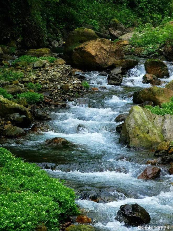 球速体育：媒体人走基层不应只唱赞歌(图13)