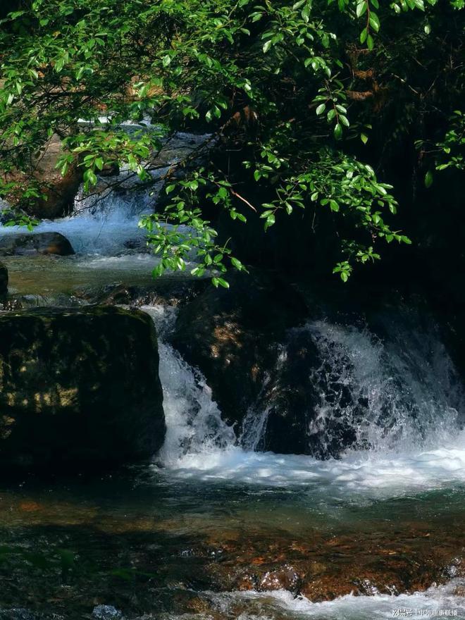 球速体育：媒体人走基层不应只唱赞歌(图15)