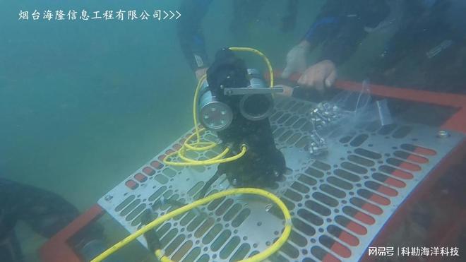海隆物联：牡蛎礁生态修复监测平台解决方案(图1)