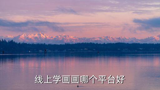 球速体育Welcome：网络学习平台学习平台哪个好？(图2)