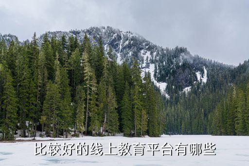 球速体育Welcome：网络学习平台学习平台哪个好？(图1)