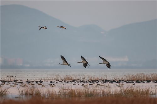 球速体育网站：文旅融合绘新景毕节市文旅产业高质量发展综述(图4)