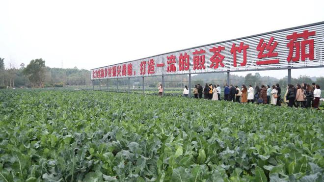 四川省讲师团系统暨学习平台工作培训班走进天府新区(图6)