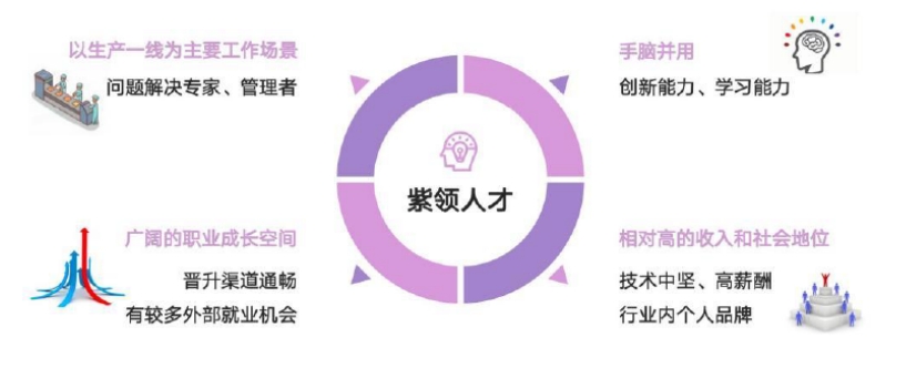 寻找新质生产力“人才坐标”：紫领人才引领制造升级(图5)