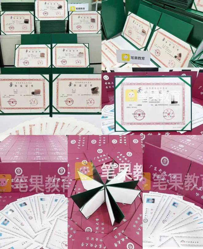 球速体育：深圳市笔果教育科技有限公司(图10)