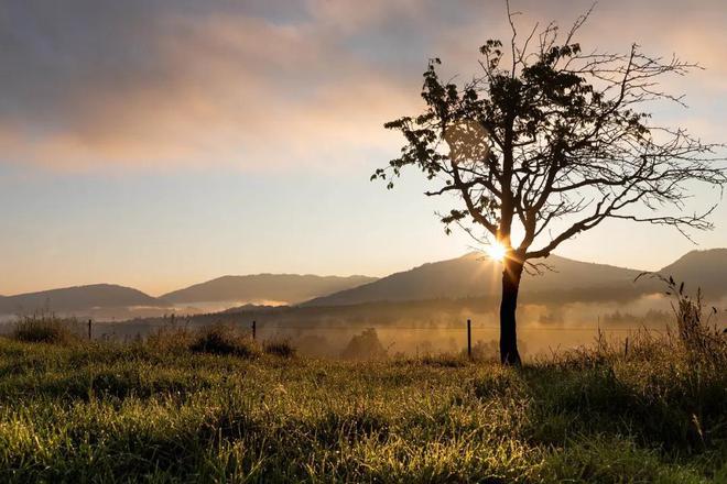 球速体育Welcome：一个人开始变好的迹象：改变自己(图3)