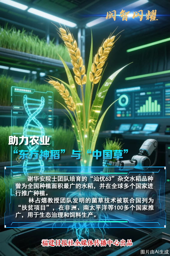 球速体育网站：闽智闪耀！福建这些科技成果让世界点赞(图3)