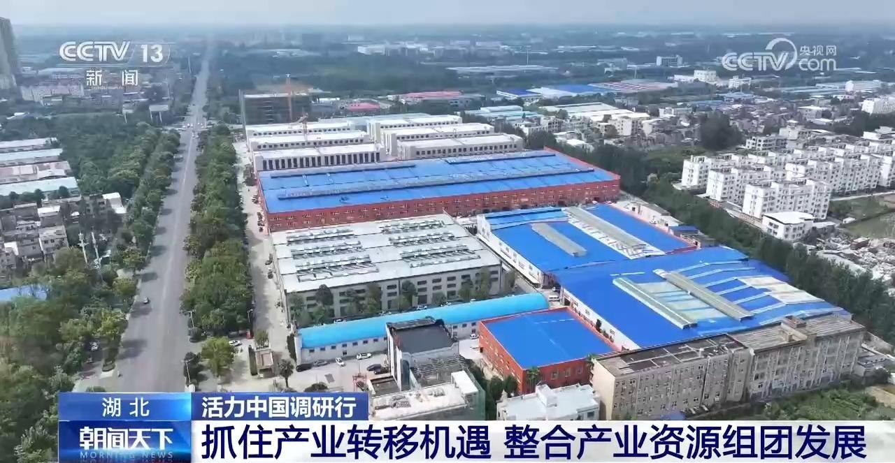 球速体育网站：一年卖出超6亿件服装这个城市服装电商产业异军突起(图4)