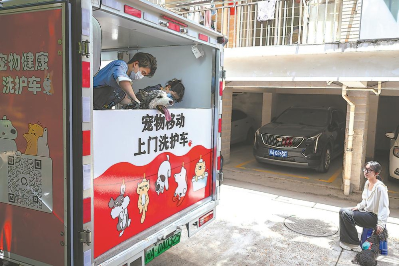 家有“毛孩儿”(图3)