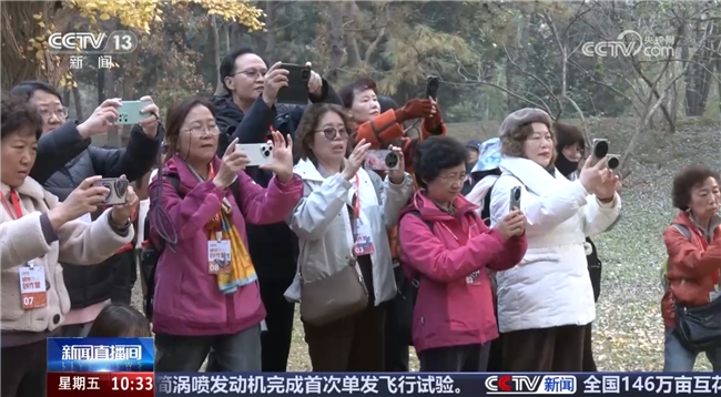 球速体育Welcome：从地方实践到国家级媒体关注——兴趣岛的兴趣学习模式究竟触动了哪些政策与社会痛点？(图3)