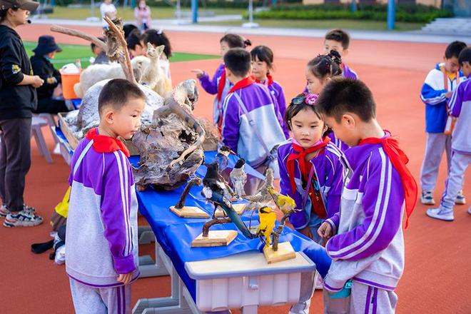 球速体育网站：弋江春水向“新”流丨科学教育的“加法题”如何答？(图3)