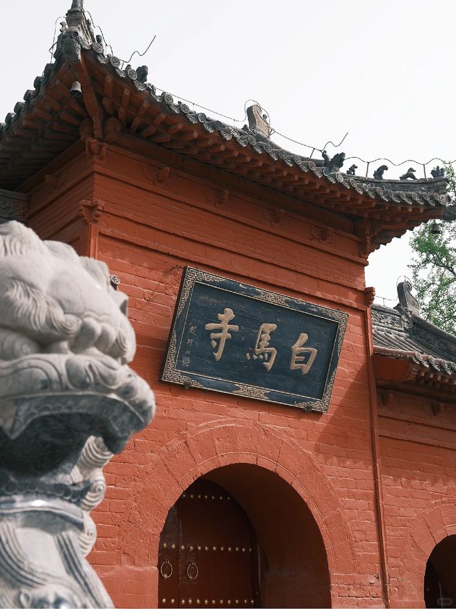 洛阳旅游4天3晚跟团行程费用本地旅行社带队龙门石窟白马寺纯玩(图9)