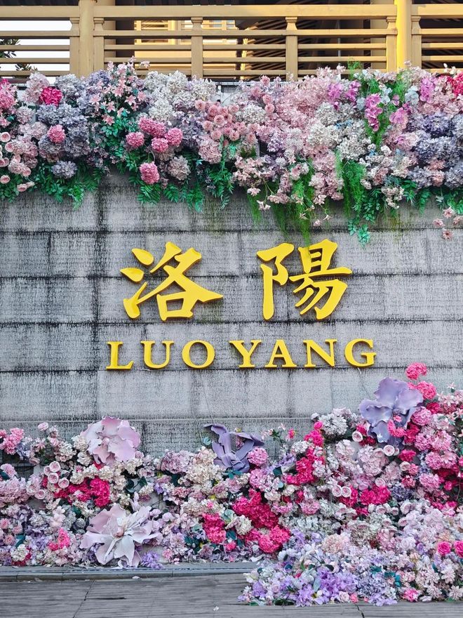 洛阳旅游4天3晚跟团行程费用本地旅行社带队龙门石窟白马寺纯玩(图13)