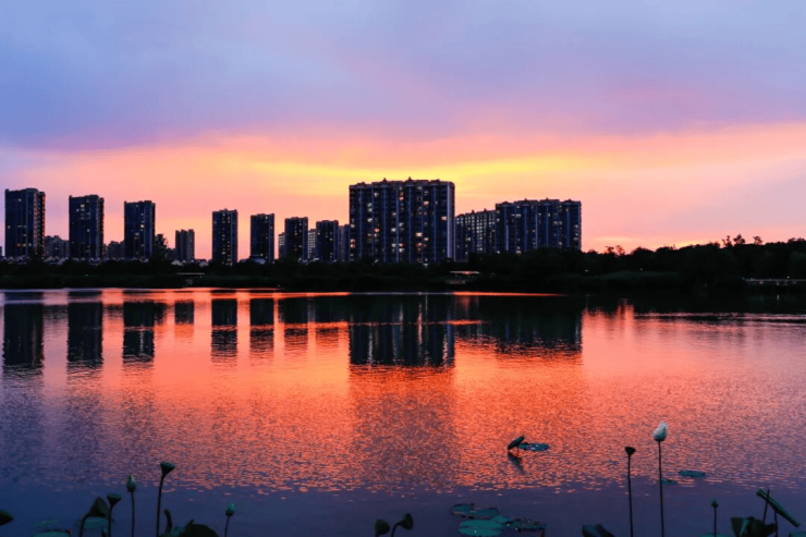 大华星屿(售楼处)首页-网站-环境-户型-价格-地址-楼盘详情-配套-电话-交房时间-配套-电话-交房时间(图26)